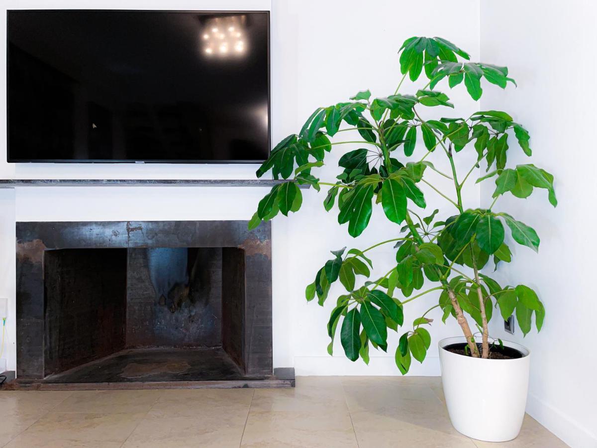 Villa Haygon Private Heated Pool, Bbq & Sauna Сан-Висенте-дель-Распеч Экстерьер фото